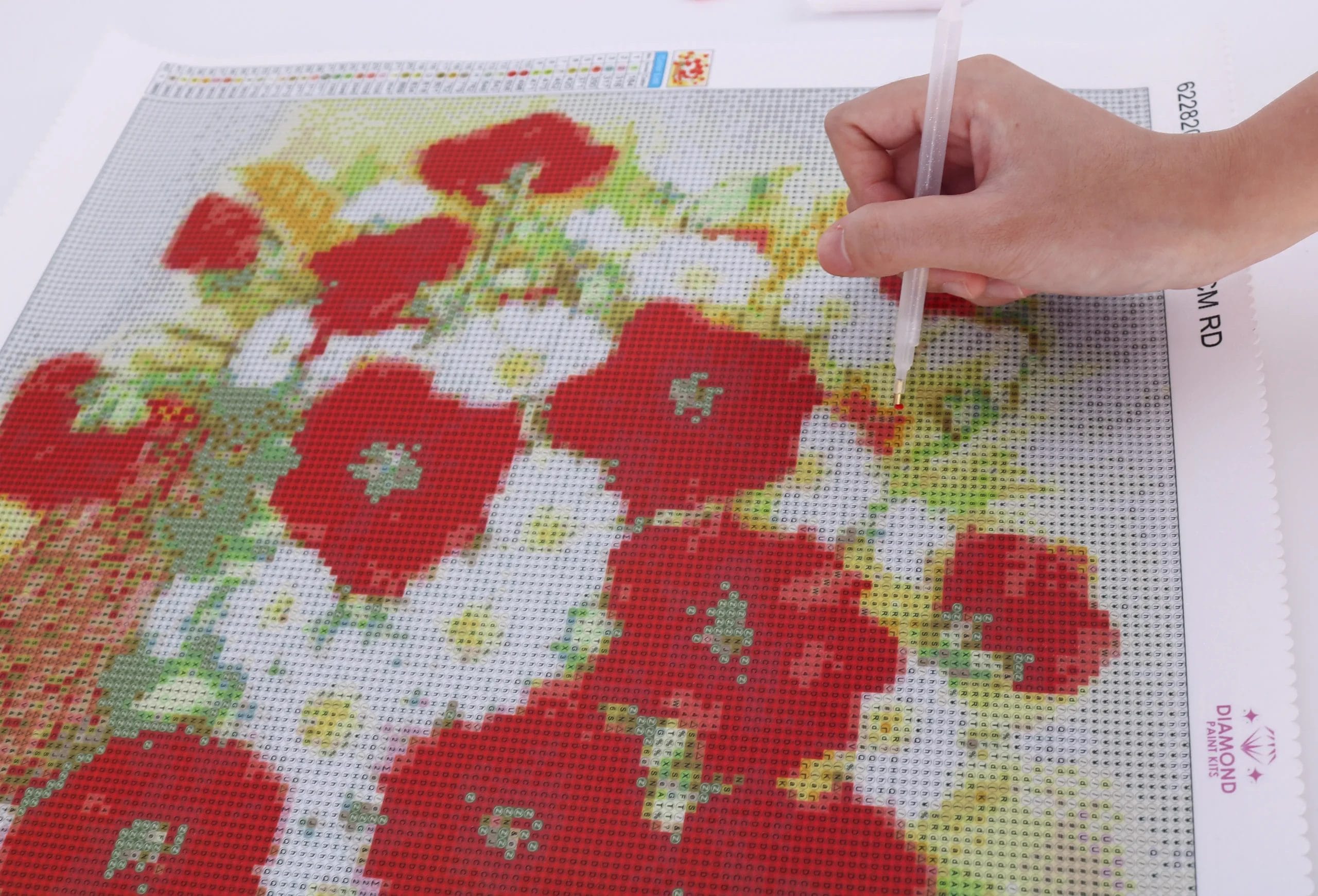 Diamond painting Starting scaled DIY diamond Painting Wereld