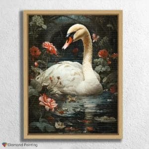 Shy Swan