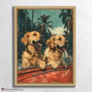 Dogs in Summer