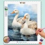 Amazing Swan Couple