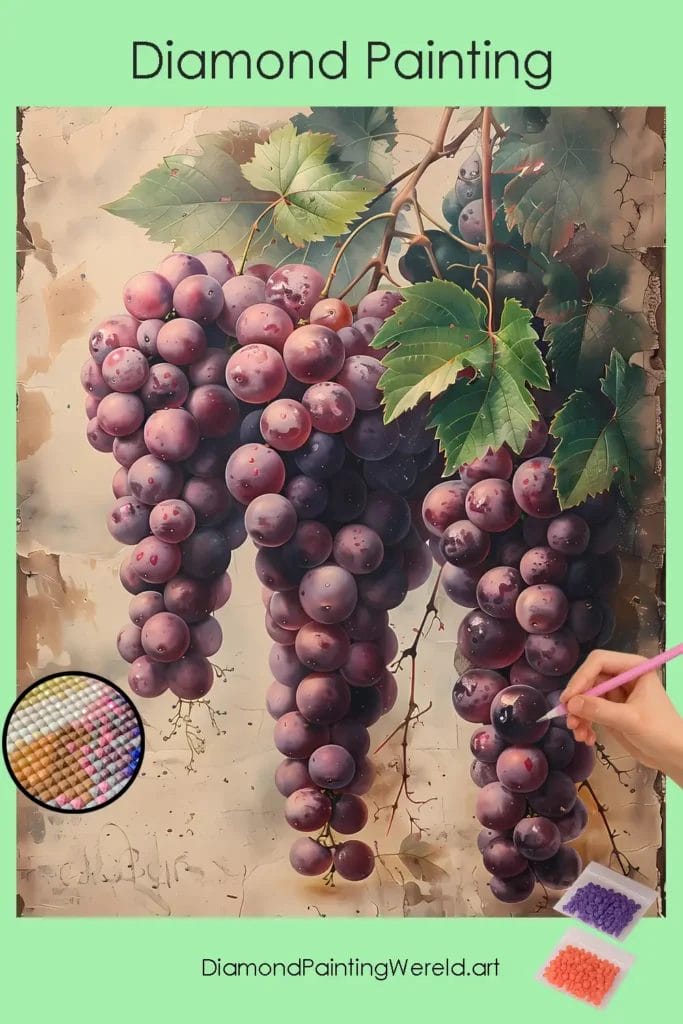 Dieppaarse Druiven 1 Diamond Painting Wereld Deep Purple Grapes