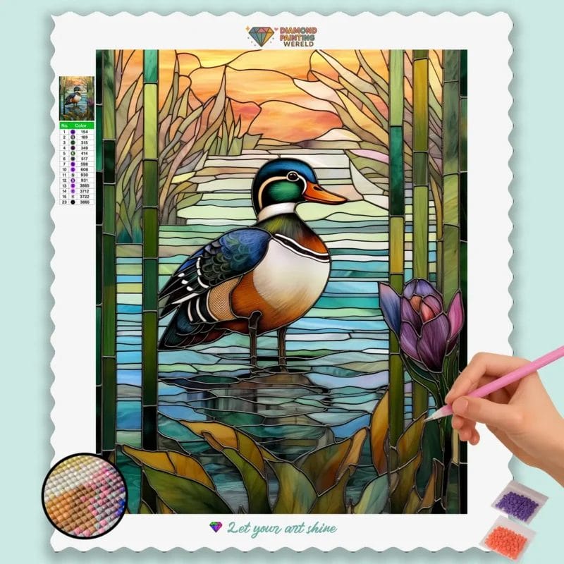 Wood Duck
