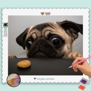 Süßer Mops